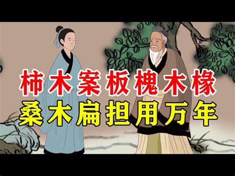 椽子 意思|鑷子